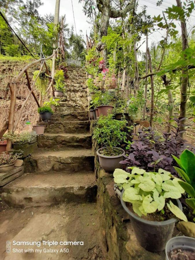 אלה Biwon Homestay מראה חיצוני תמונה