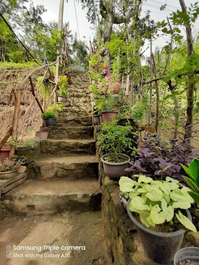 אלה Biwon Homestay מראה חיצוני תמונה