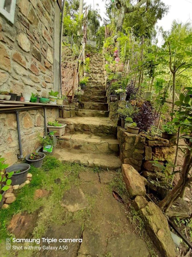 אלה Biwon Homestay מראה חיצוני תמונה